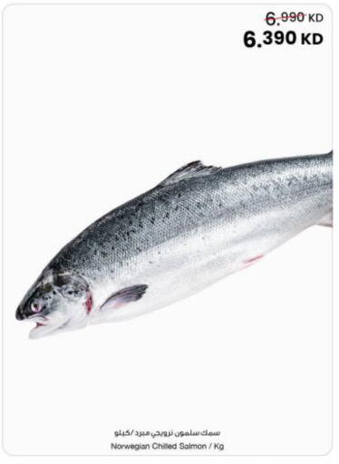 available at The Sultan Center in Kuwait - Jahra Governorate