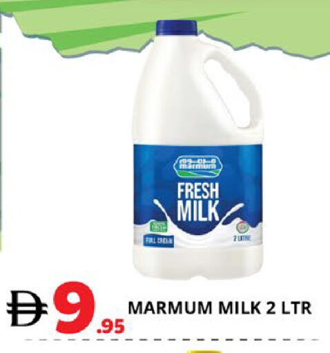 available at اكسبرس المدينة هايبرماركت in الإمارات العربية المتحدة , الامارات - أبو ظبي