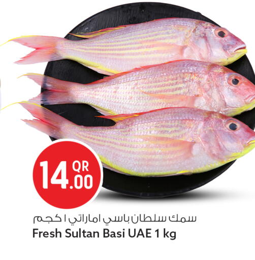 available at Safari Hypermarket in Qatar - Al Rayyan