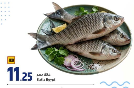 available at روابي هايبرماركت in قطر - الوكرة