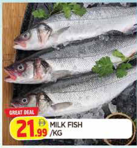 available at المدينة in الإمارات العربية المتحدة , الامارات - الشارقة / عجمان