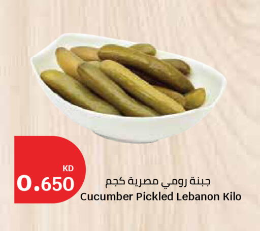 Cucumber available at City Hypermarket in Kuwait - Ahmadi Governorate