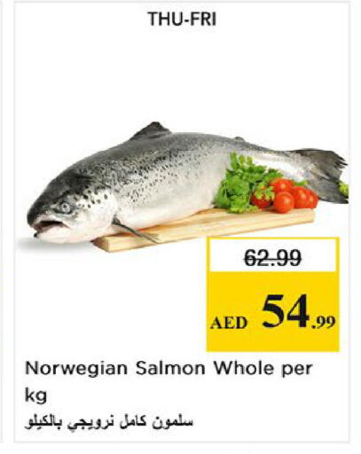 available at Nesto Hypermarket in UAE - Fujairah