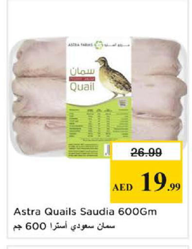 available at نستو هايبرماركت in الإمارات العربية المتحدة , الامارات - الشارقة / عجمان