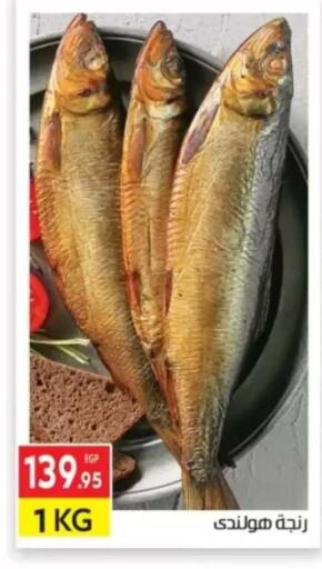 available at El Mahallawy Market  in Egypt - Cairo