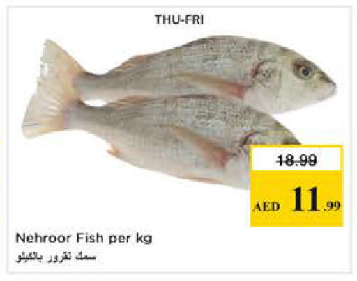 available at Nesto Hypermarket in UAE - Abu Dhabi