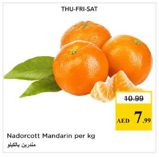 Mandarin available at نستو هايبرماركت in الإمارات العربية المتحدة , الامارات - دبي