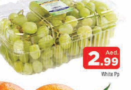 available at المدينة in الإمارات العربية المتحدة , الامارات - الشارقة / عجمان