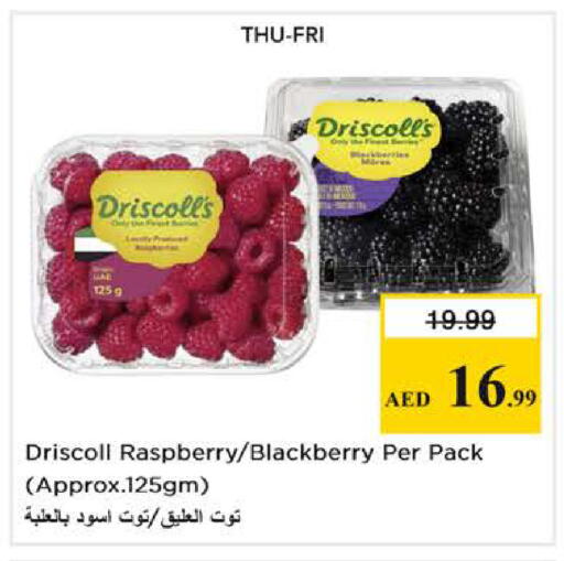 Raspberry Blackberry available at نستو هايبرماركت in الإمارات العربية المتحدة , الامارات - دبي