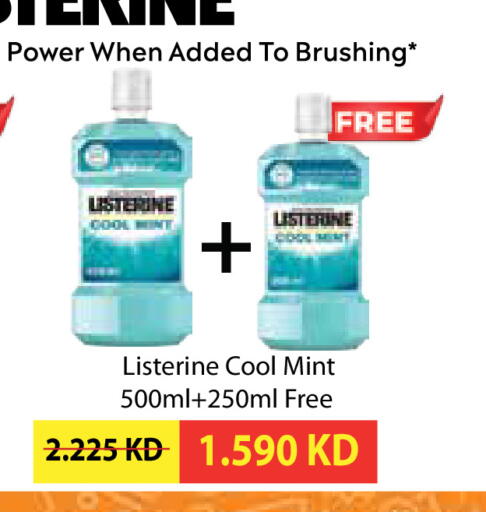 Mint available at سيتي هايبرماركت in الكويت - محافظة الأحمدي