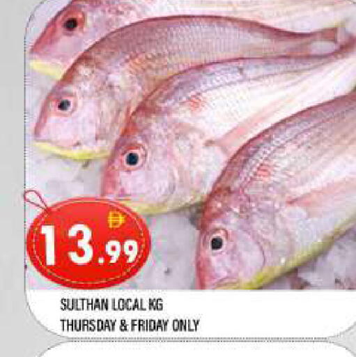 available at المدينة in الإمارات العربية المتحدة , الامارات - الشارقة / عجمان