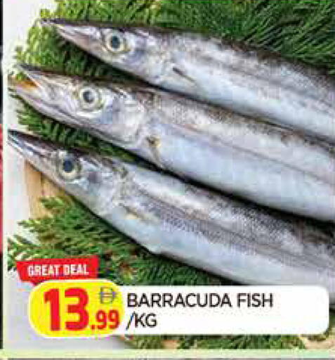 available at المدينة in الإمارات العربية المتحدة , الامارات - الشارقة / عجمان