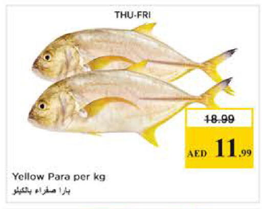 available at Nesto Hypermarket in UAE - Abu Dhabi
