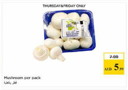 Mushroom available at لاست تشانس in الإمارات العربية المتحدة , الامارات - ٱلْفُجَيْرَة‎