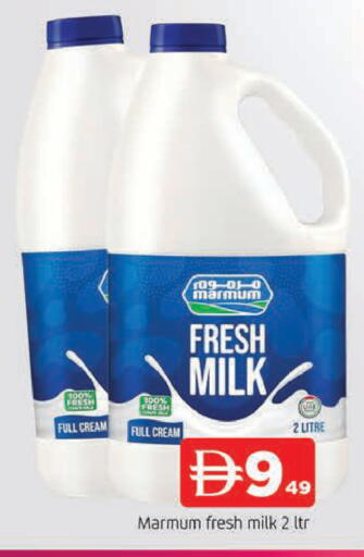 available at المدينة in الإمارات العربية المتحدة , الامارات - الشارقة / عجمان