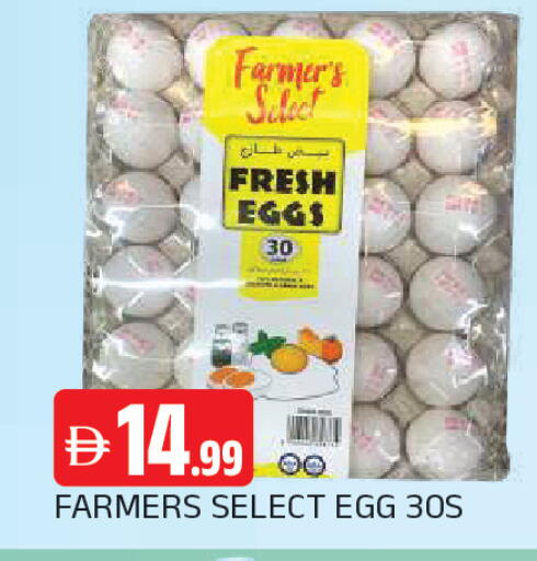 available at المدينة in الإمارات العربية المتحدة , الامارات - الشارقة / عجمان