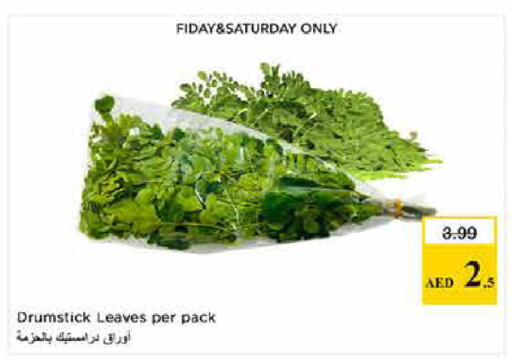 available at لاست تشانس in الإمارات العربية المتحدة , الامارات - ٱلْفُجَيْرَة‎