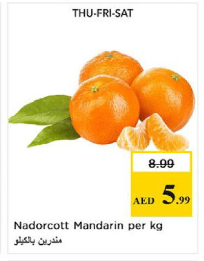 Mandarin available at نستو هايبرماركت in الإمارات العربية المتحدة , الامارات - ٱلْفُجَيْرَة‎