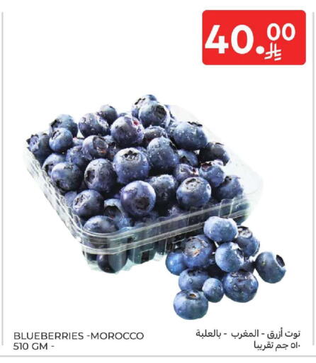 from Morocco available at كارفور in مملكة العربية السعودية, السعودية, سعودية - المنطقة الشرقية