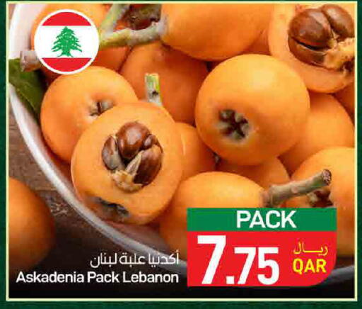 from Lebanon available at ســبــار in قطر - الوكرة