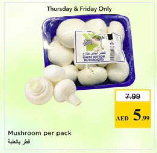 Mushroom available at نستو هايبرماركت in الإمارات العربية المتحدة , الامارات - دبي