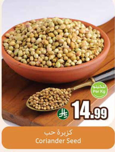 Coriander available at أسواق عبد الله العثيم in مملكة العربية السعودية, السعودية, سعودية - مكة المكرمة