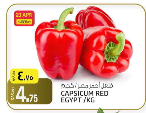 Capsicum from Egypt available at السعودية in قطر - أم صلال