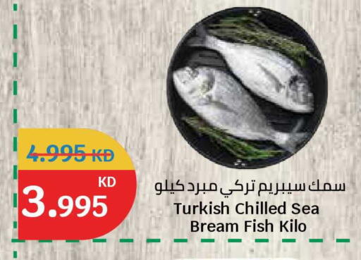 available at سيتي هايبرماركت in الكويت - محافظة الجهراء