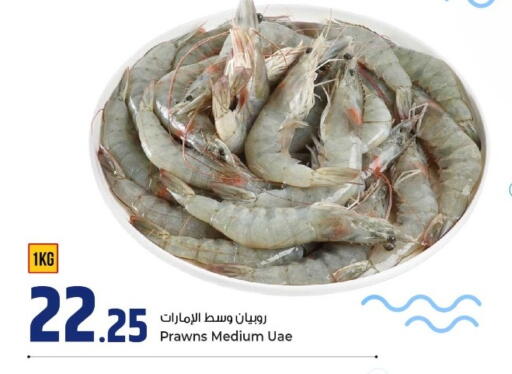 available at روابي هايبرماركت in قطر - الوكرة