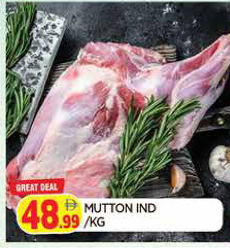 available at المدينة in الإمارات العربية المتحدة , الامارات - الشارقة / عجمان