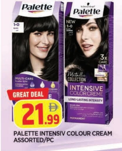 available at المدينة in الإمارات العربية المتحدة , الامارات - الشارقة / عجمان