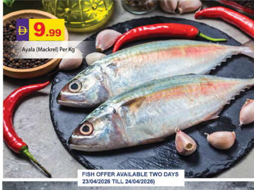 available at جلف هايبرماركت ذ.م.م in الإمارات العربية المتحدة , الامارات - رَأْس ٱلْخَيْمَة