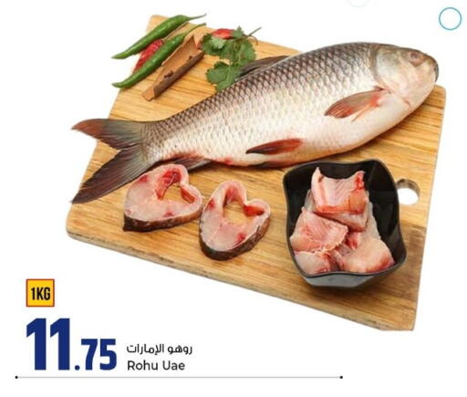 available at روابي هايبرماركت in قطر - الوكرة