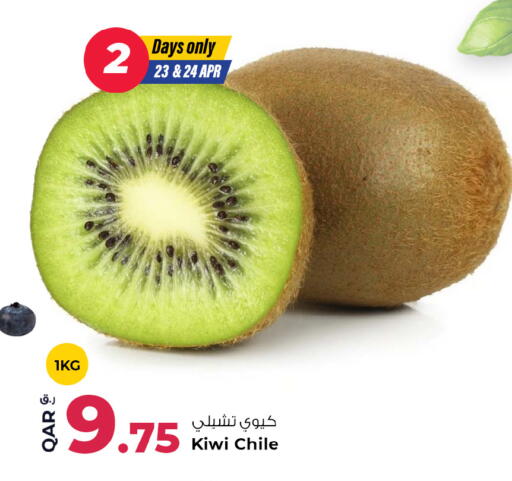 Kiwi from Chile available at روابي هايبرماركت in قطر - الوكرة