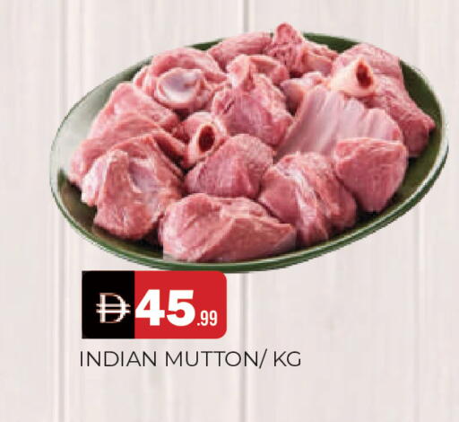 available at المدينة in الإمارات العربية المتحدة , الامارات - الشارقة / عجمان