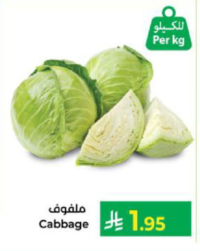 Cabbage available at Kabayan Hypermarket in KSA, Saudi Arabia, Saudi - Yanbu