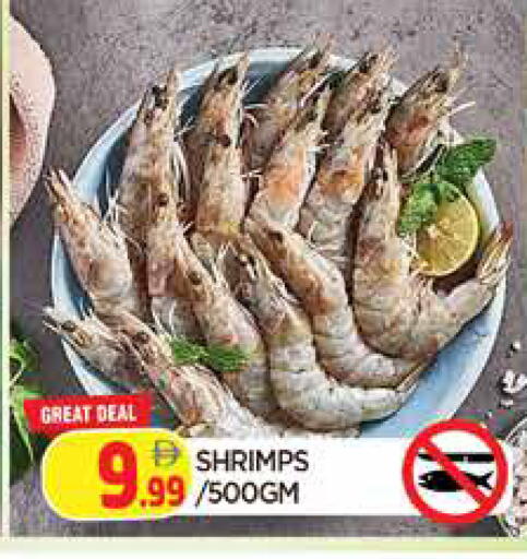 available at AL MADINA in UAE - Sharjah / Ajman