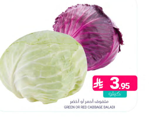 Cabbage available at اسواق المنتزه in مملكة العربية السعودية, السعودية, سعودية - المنطقة الشرقية