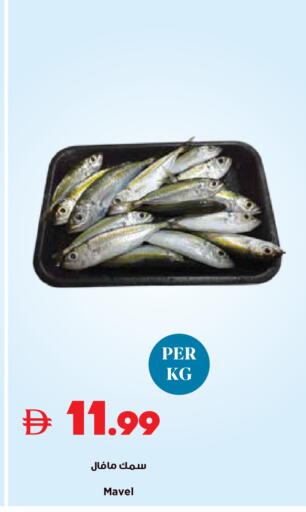 available at تروليز سوبرماركت in الإمارات العربية المتحدة , الامارات - دبي