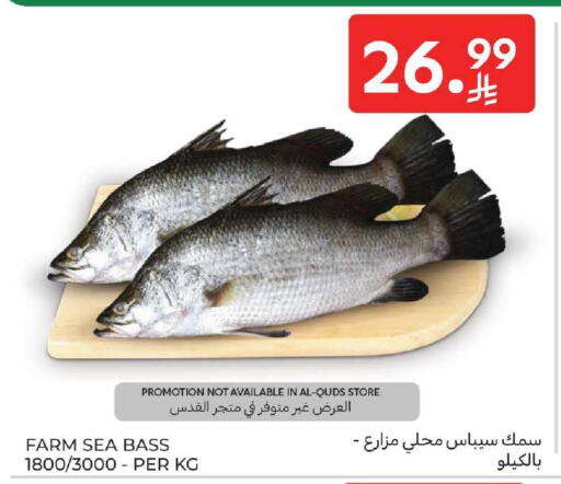 available at كارفور in مملكة العربية السعودية, السعودية, سعودية - المنطقة الشرقية