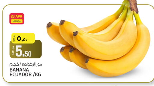 Banana from Ecuador available at السعودية in قطر - أم صلال