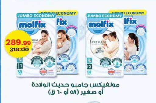 available at Al Habib Market in Egypt - Cairo