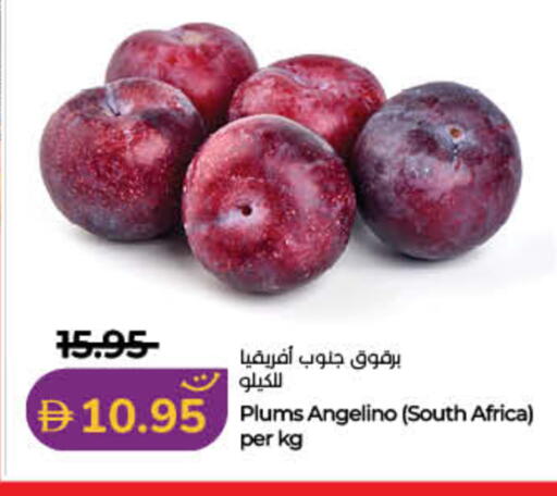 Plums from South Africa available at Lulu Hypermarket in UAE - Sharjah / Ajman