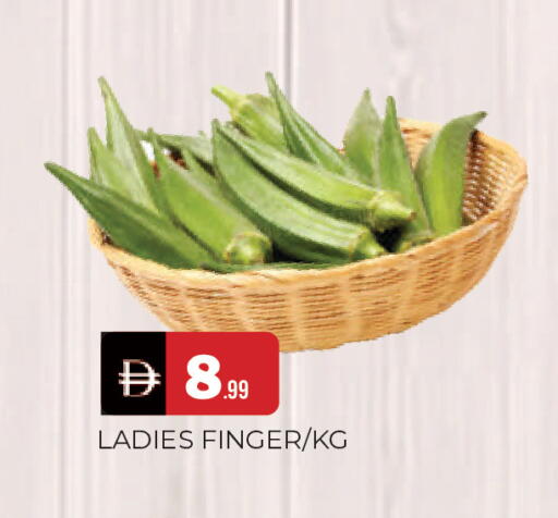 available at المدينة in الإمارات العربية المتحدة , الامارات - الشارقة / عجمان