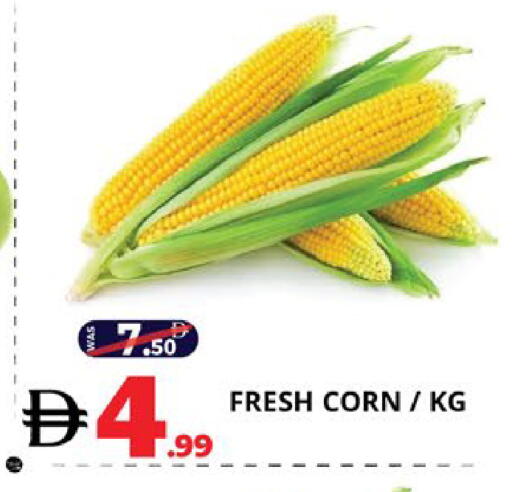 available at اكسبرس المدينة هايبرماركت in الإمارات العربية المتحدة , الامارات - أبو ظبي