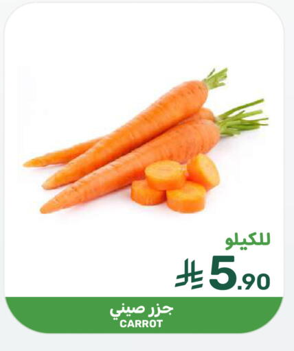 Carrot available at  مـزايــا in مملكة العربية السعودية, السعودية, سعودية - المنطقة الشرقية