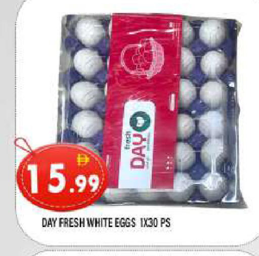 available at المدينة in الإمارات العربية المتحدة , الامارات - الشارقة / عجمان