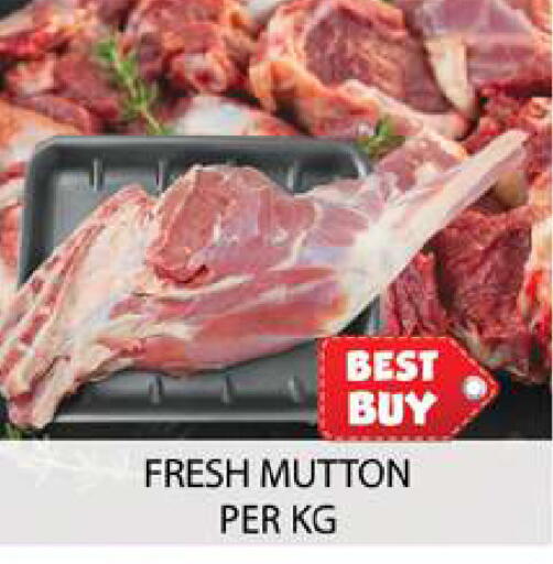 available at زين مارت سوبرماركت in الإمارات العربية المتحدة , الامارات - رَأْس ٱلْخَيْمَة