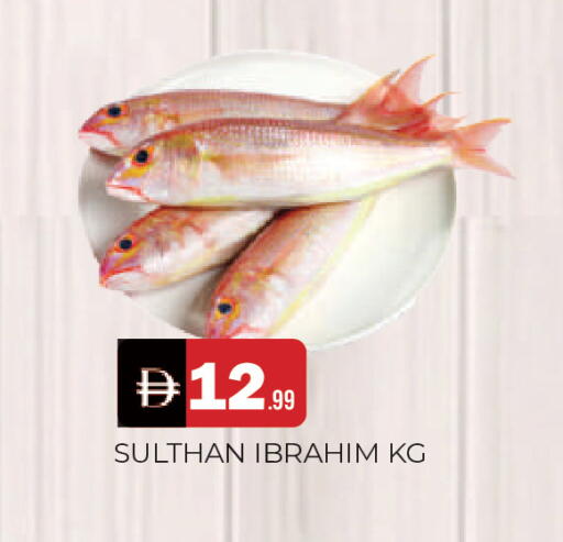 available at المدينة in الإمارات العربية المتحدة , الامارات - الشارقة / عجمان