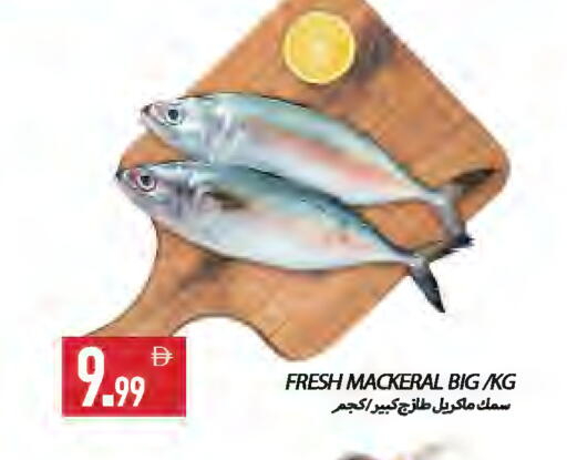 available at Rawabi Market Ajman in UAE - Sharjah / Ajman